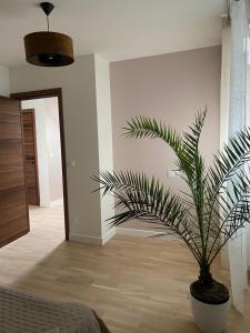 eine Topfpflanze in einem Raum mit einer Wand in der Unterkunft Maison Paray- Orly- Parking Privé in Paray-Vieille-Poste