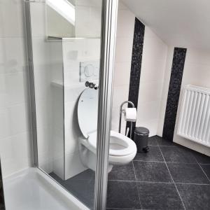 ein Bad mit einem WC und einer Dusche in der Unterkunft Sweet Apartments in Baden-Baden