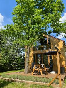 a tiny house with a picnic table and a tree at Physio House Sokolik in Komarno