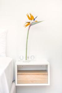Gambar di galeri bagi Kumquart estate- Kumquat di Aspiotádes