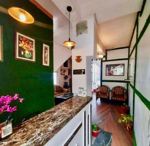 a kitchen with green walls and a counter top at Hotel Tribhuvan Ranikhet Near Mall Road - Mountain View -Parking Facilities - Excellent Customer Service Awarded - Best Seller in Rānīkhet