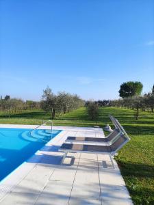 a swimming pool next to a field with trees at Agriturismo La Vigna in Colà di Lazise