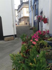 un jardin avec des fleurs roses sur le côté d'un bâtiment dans l'établissement Sobre la villa 12, à Neda