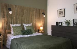 a bedroom with a green bed with a wooden headboard at Le Patio, Climatisation Terrasse Wi-Fi Netflix 15 mn coeur de ville in Béziers