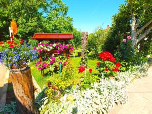 - un jardin avec des fleurs colorées dans l'établissement Ferienwohnung für 4 Personen ca 25 qm in Fažana, Istrien Istrische Riviera, à Fažana
