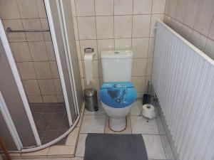 Koupelna v ubytování Apartmán Modré z nebe