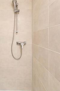 una ducha con cabezal de ducha en un baño en Appartement T3 gare de Chambéry centre ville, en Chambéry
