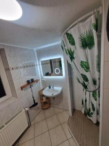 a bathroom with a sink and a shower curtain at Ferienhof Gosen in Gosen