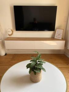 uma planta sentada numa mesa em frente a uma televisão em Maison de ville avec terrasse 4 à 6 personnes em Lion-sur-Mer