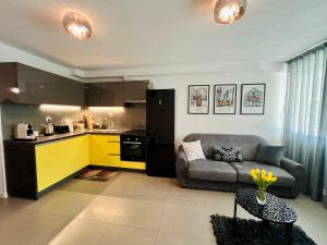 Kuchyňa alebo kuchynka v ubytovaní Dream Apartment