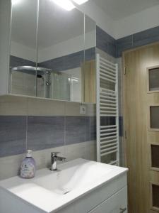 een badkamer met een wastafel en een spiegel bij Ubytování Habartice in Habartice