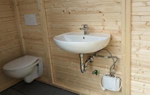 a bathroom with a sink and a toilet at Natur, Wasser und Land(er)leben in Bechhofen