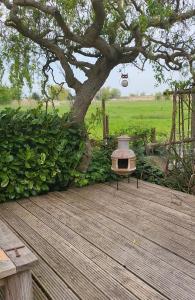 une terrasse en bois avec un arbre et une maison ornithologique dans l'établissement Station Cottage, à Haddiscoe