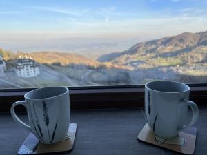 two cups sitting on a table in front of a window at Monte Milmari in Kopaonik