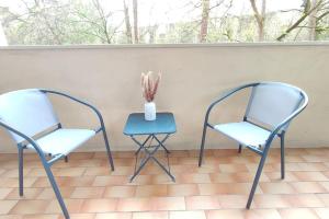 duas cadeiras e uma mesa e um vaso com uma planta em Agréable 2 pièces à Savigny sur Orge em Savigny-sur-Orge
