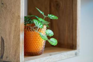 Eine Pflanze in einer orangefarbenen Vase, die auf einem Regal sitzt. in der Unterkunft Ferienwohnung Schäferhütte in Pfronten