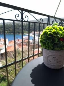 une plante en pot assise sur une table devant une fenêtre dans l'établissement Cosy seaside house at Lagkada Chios, à Lagkáda
