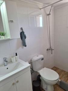 La salle de bains blanche est pourvue de toilettes et d'un lavabo. dans l'établissement Cosy seaside house at Lagkada Chios, à Lagkáda