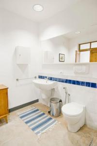 La salle de bains est pourvue de toilettes et d'un lavabo. dans l'établissement Asino Nero, à Milis