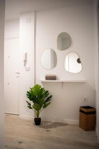 a room with a potted plant and two mirrors at Koala21 - Apartamento céntrico y moderno con Parking in Jaén