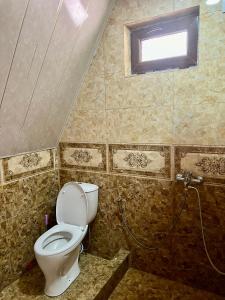 a small bathroom with a toilet and a shower at Borjomi-sadgeri''Twins'' in Borjomi