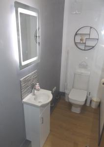 a bathroom with a toilet and a sink and a mirror at Four Winds Holiday Let in Nairn