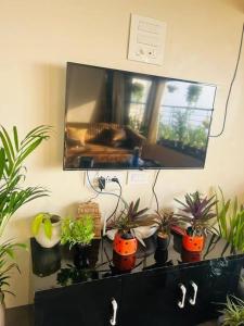 een kamer met planten op een kast met een spiegel bij sea view apartment in Juhu in Mumbai
