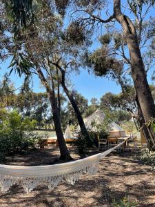 uma rede branca à sombra das árvores em Lavender Glamping em Elmas