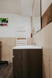 a bathroom with a sink and a counter top at Gîte l'ancienne forge 4 adultes et 2 enfants in Louvetot