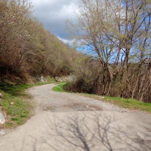 een onverharde weg met bomen aan de zijkant bij BAITA BELLAVISTA Affiliato Best-Incoming in Adrara San Rocco