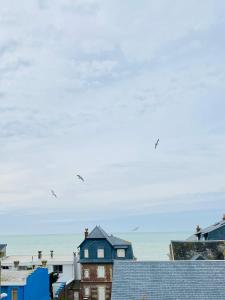 um grupo de casas e pássaros voando sobre o oceano em Lou & Moi Appartement à 50m de la plage em Cayeux-sur-Mer