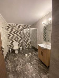 a bathroom with a shower and a toilet and a sink at Penelope's apartment Ι in Potamiá +5 photos