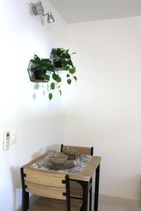 a dining room table with a plant on the wall at Studio cosy front de mer à 5min de Nice in Saint-Laurent-du-Var