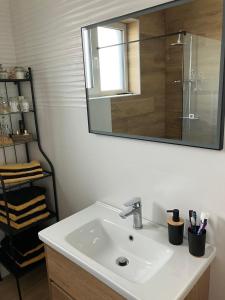 a bathroom with a sink and a mirror at Apartman Vita in Bjelovar
