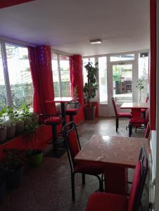 Restaurace v ubytování Marko Konak