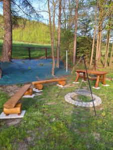 un parque con una mesa de picnic y un columpio en Miodowy Domek, en Kamianna