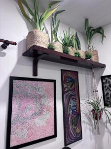 a shelf with potted plants on a wall at Anavrin Art House in New Delhi