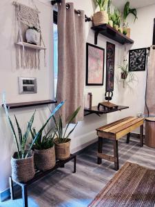 Fotografie z fotogalerie ubytování Anavrin Art House v Novém Dillí