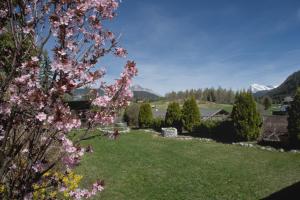a view of a yard withakura trees and mountains at Haus Tannengrün in Seefeld in Tirol