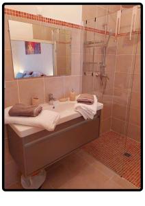 a bathroom with a sink and a shower with a mirror at Appartement Roussillon in Roussillon