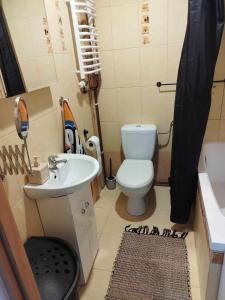 a small bathroom with a toilet and a sink at Apartament Kajki in Mrągowo