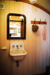 a bathroom with a sink and a mirror on the wall at The Garden Hut Cilcain in Mold