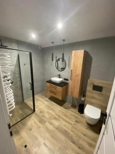een badkamer met een toilet, een wastafel en een douche bij Apartament przy Browarze in Żywiec