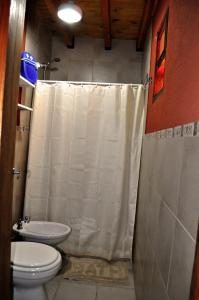 a bathroom with a toilet and a shower curtain at Cabaña en Villa Los Coihues in San Carlos de Bariloche +20 photos