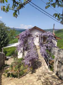 uma casa coberta de glicínias roxas em frente a uma casa em Vila Fantastico em Skopje