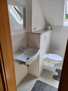 bagno con lavandino e servizi igienici di Apartments zum stillen Winkel a Niederbreitbach