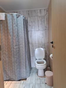 uma casa de banho com um WC e uma cortina de chuveiro em Apartamentos-Cabañas Encanto II em El Bolsón