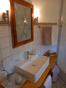 a bathroom with a sink and a mirror at Winzerhof Fleischmann in Kleinhöflein