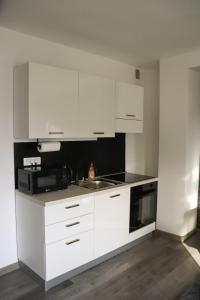 Kuchyň nebo kuchyňský kout v ubytování Apartman Callosum