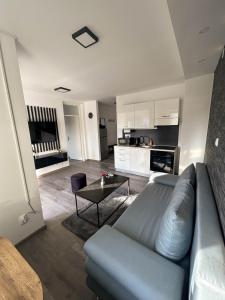 Kuchyň nebo kuchyňský kout v ubytování Apartman Callosum